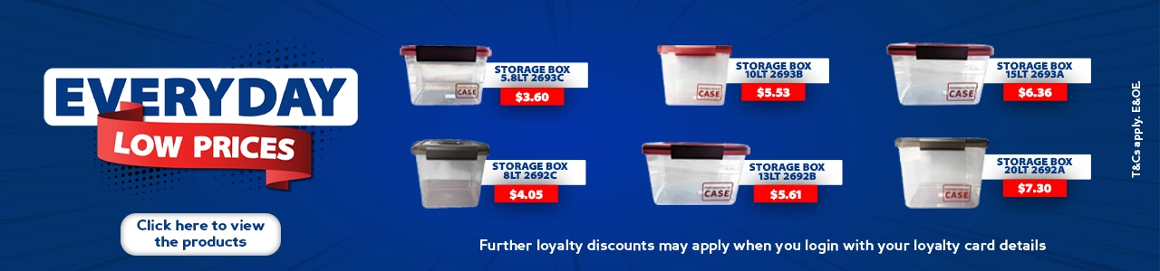 Everyday Low prices: Storage Container