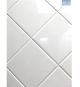 Tile Flow Shiny White 300x600 2.52M OFS10F6LA