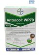 Opti Fungicide Antracol WP70 500g