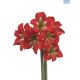 Hadeco Amaryllis Bright Spark - Light Bright Red