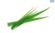 DH Herb Lemon Grass