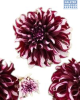 Hadeco Dahlia Tartan