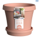 RJE Super Pot set 15cm Peach