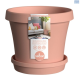RJE Super Pot Set 20cm Peach