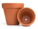 RJE Terra Pots 15cm (FSTP15)