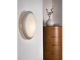 Eglo Mars Ceiling Light Satin/White 250mm 89248