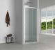 Alpx Shower Door Only Pivot CP 1000-1200 5mm PEXC120C