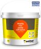 Tylon Superflex Tile Adhesive 5kg