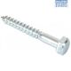 NSS Coach Screw M12 x 50 Z/P PKT5