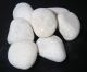 Pebbles White Small 20kg