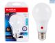 Eurolux LED Bulb Day/Night 6w E27 Mid/W 480lm 4000K G651ES