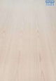 Plywood Exotic Beech 3x2440x1220mm