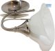 Radiant Calice Wall Light S.Chrome / White 1 Light RW131