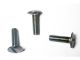 Tassburg Verandah Bolt 6 X 75mm Pk 10