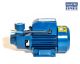 Terrier Centrifugal Pump PKM060 0.5Hp 0.37kw 220v