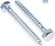NSS Coach Screw M10 x 50 Z/P PKT30