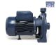 Morrison Centrifugal Pump 1.5HP 1.1KW CPM170