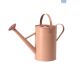 Good Roots 4.5L Watering Can - Flower Pot