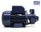 Terrier Centrifugal Pump PKM70 0.75HP 0.55KW