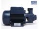 Morrison Centrifugal Pump 0.5HP 0.37KW PKM60/QBm60