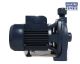 Morrison Centrifugal Pump 1.0HP 0.75KW CPM158