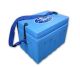 Ice Kool Cooler Box 15L