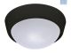 Radiant Outdoor Wall Light Bulkhead WTIGW