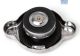 Neptune Radiator Cap 0.9 Bar