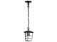 Eglo Aloria Exterior Pendant Light Black 93406