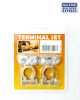 Battery Terminals Set