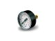 Pedrollo MR 6 Pressure Gauge 0 - 6 Bar