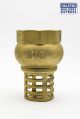 Alpx Foot Valve 40mm Brass Spring YL40640