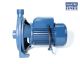 Terrier Centrifugal Pump PKM190 2hp 1.5kw 220v